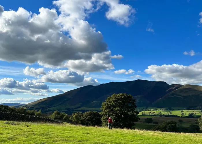 Mountain View Shepherds Hut